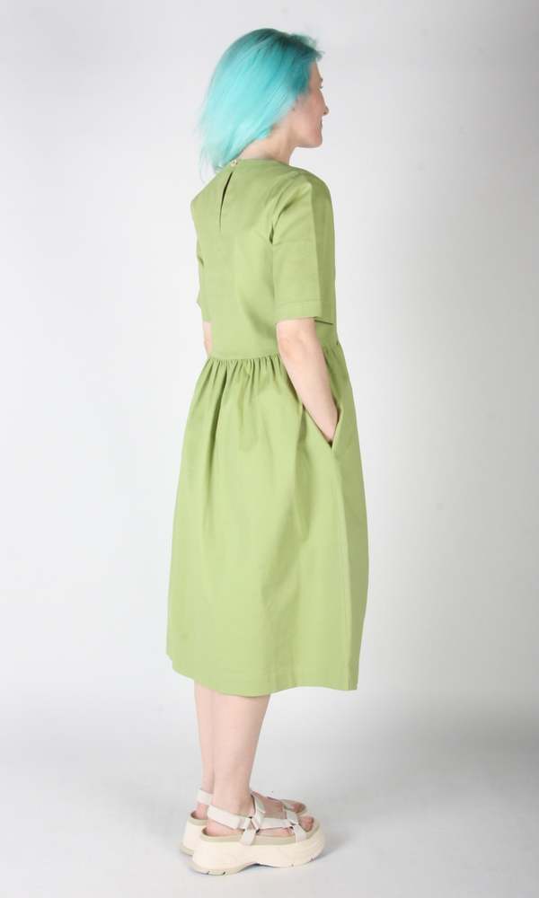 Birds of North America Tiger Shrike Dress - Avocado