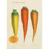 Hachette Three Carrots Puzzle - Thumbnail 2