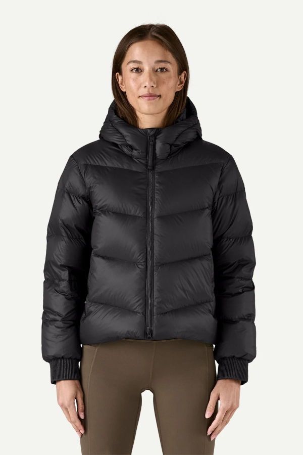 Patagonia Sindit Hoody Jacket