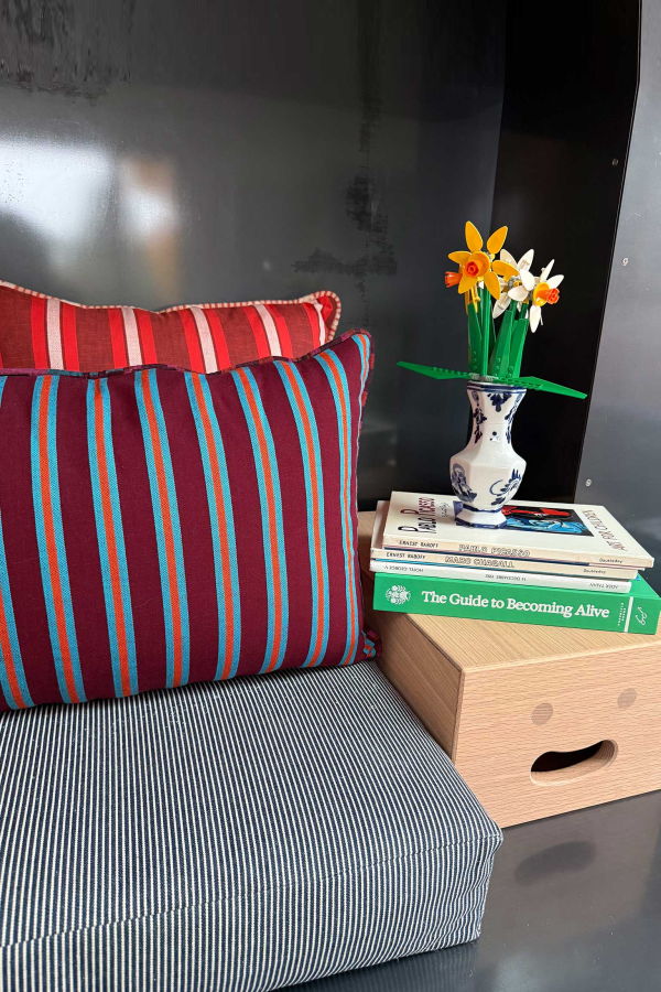 Ace & Jig Snuggle Piped Pillow - Rally