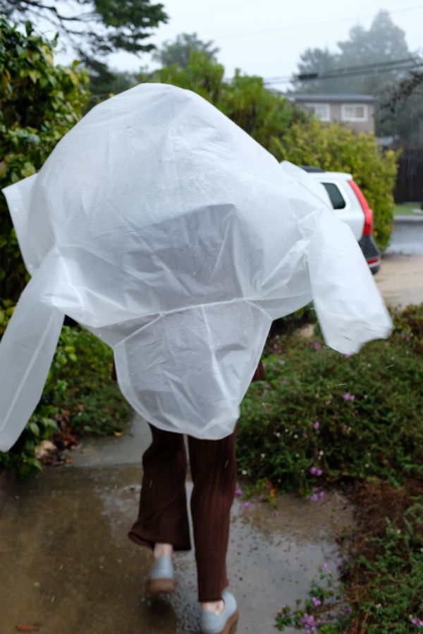 Beklina Beatriz Slip-on Sneaker - Gray