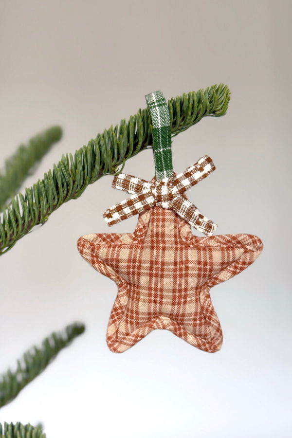 Heather Taylor Home Star Ornament