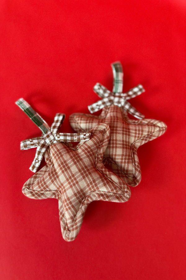 Heather Taylor Home Star Ornament