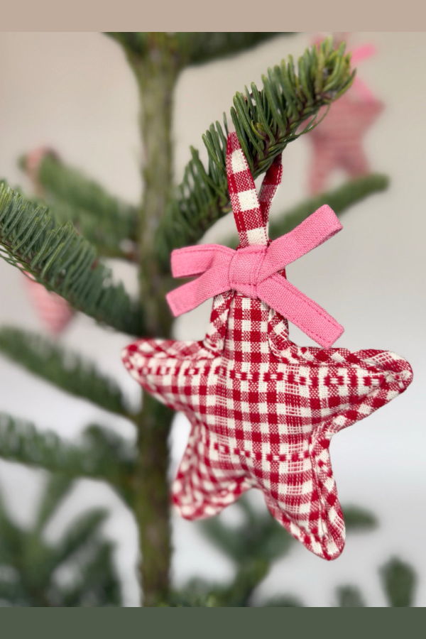 Heather Taylor Home Star Ornament