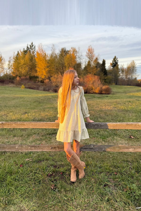 Piper&Cloth Fiona Dress - Blush Vine Stripe