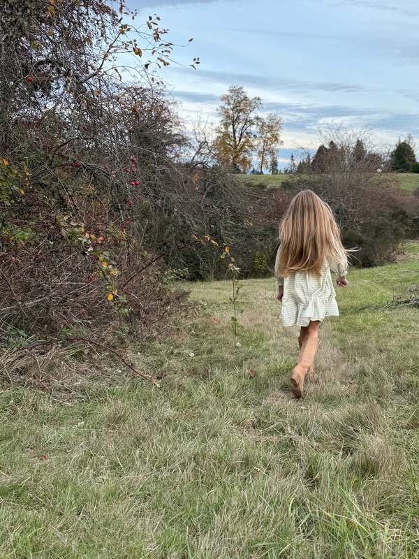 Piper&Cloth Fiona Dress - Blush Vine Stripe