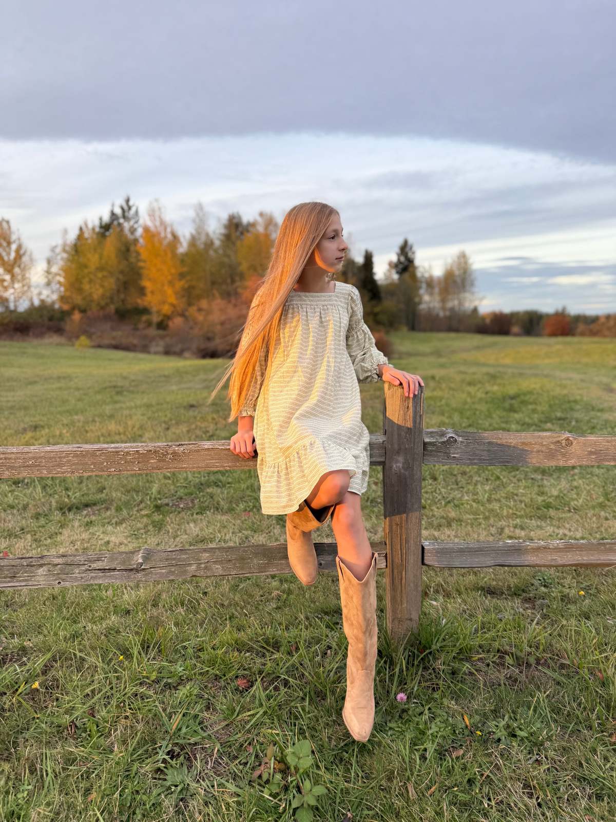 Piper&Cloth Fiona Dress - Blush Vine Stripe - Image 9 of 16