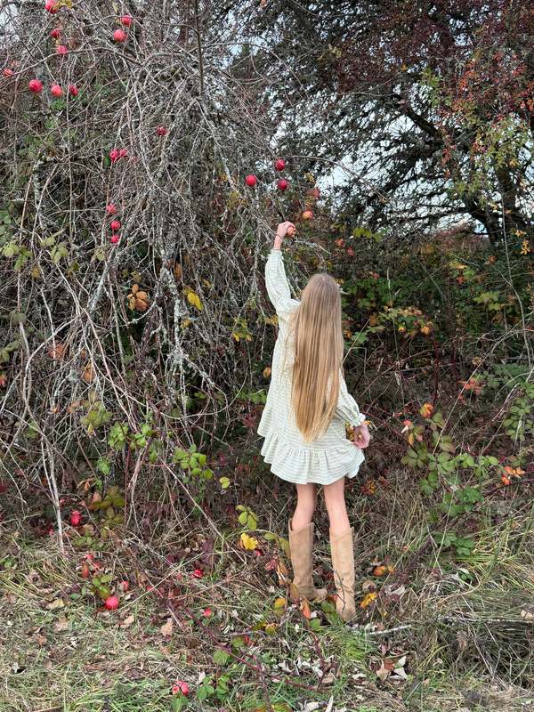 Piper&Cloth Fiona Dress - Blush Vine Stripe