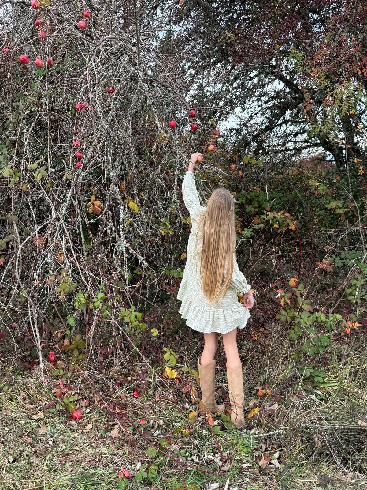 Piper&Cloth Fiona Dress - Blush Vine Stripe - Image 10 of 16