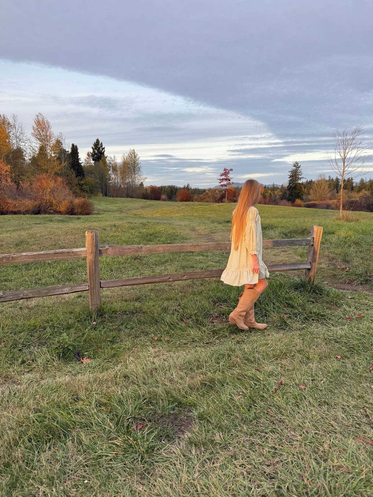 Piper&Cloth Fiona Dress - Blush Vine Stripe - Image 11 of 16