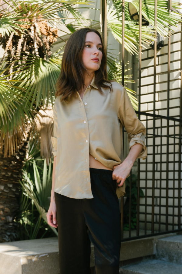 Beige Denise Top - Gold Silky