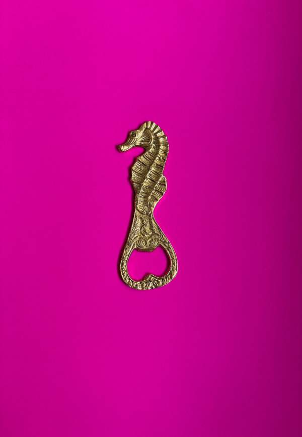 Dive Right In Bottle Opener