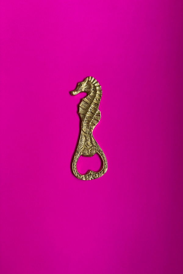 Dive Right In Bottle Opener