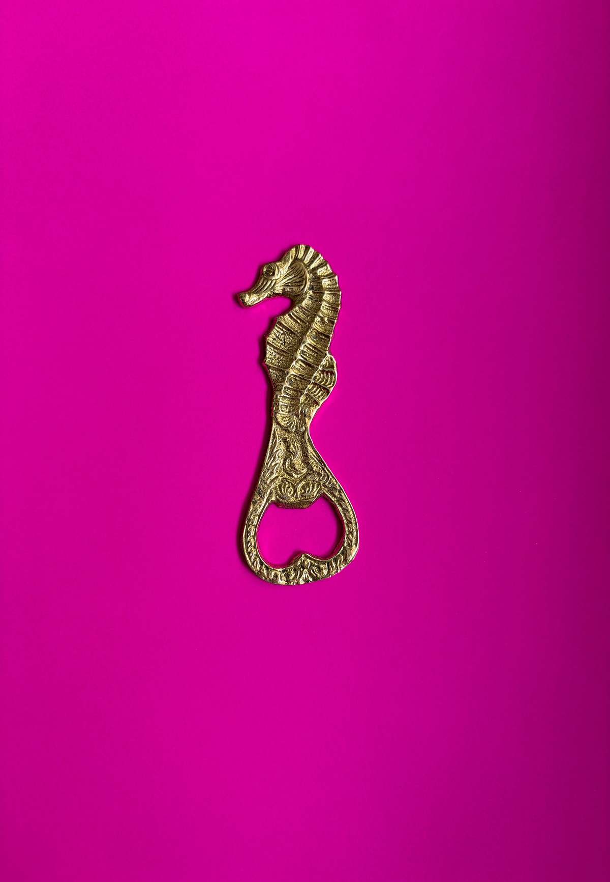 Dive Right In Bottle Opener - Image 1 of 5