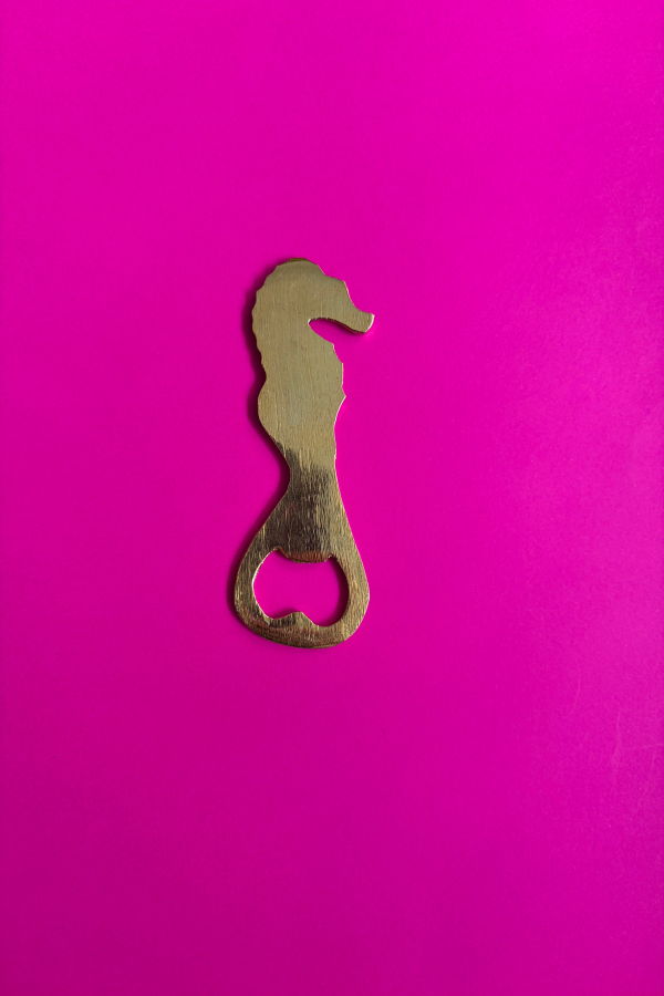 Dive Right In Bottle Opener