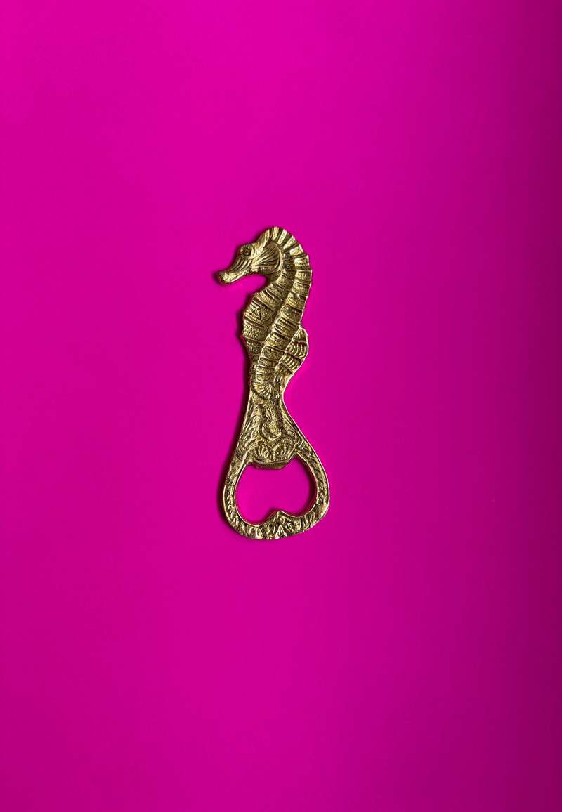 Dive Right In Bottle Opener