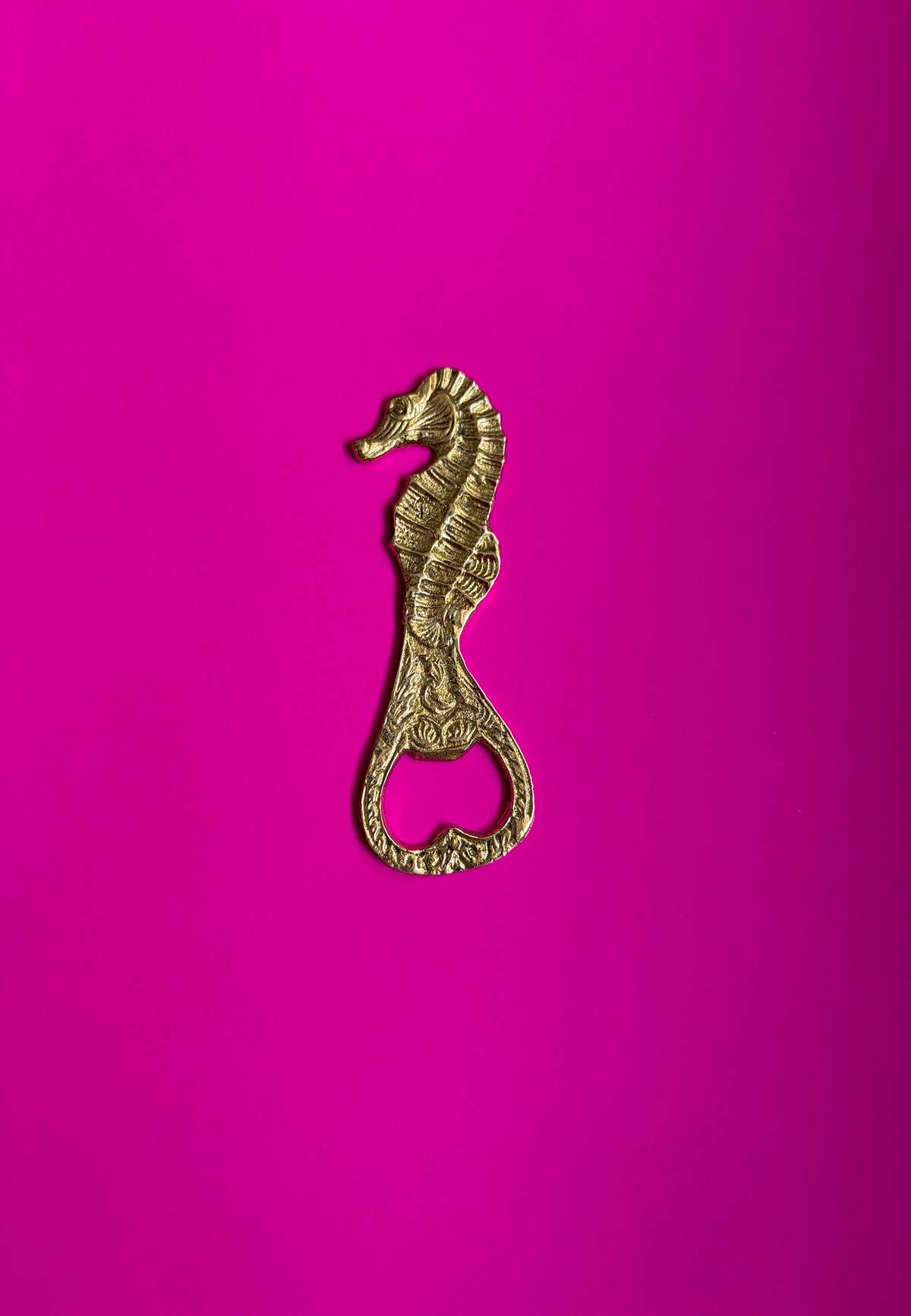 Dive Right In Bottle Opener - Image 3 of 5