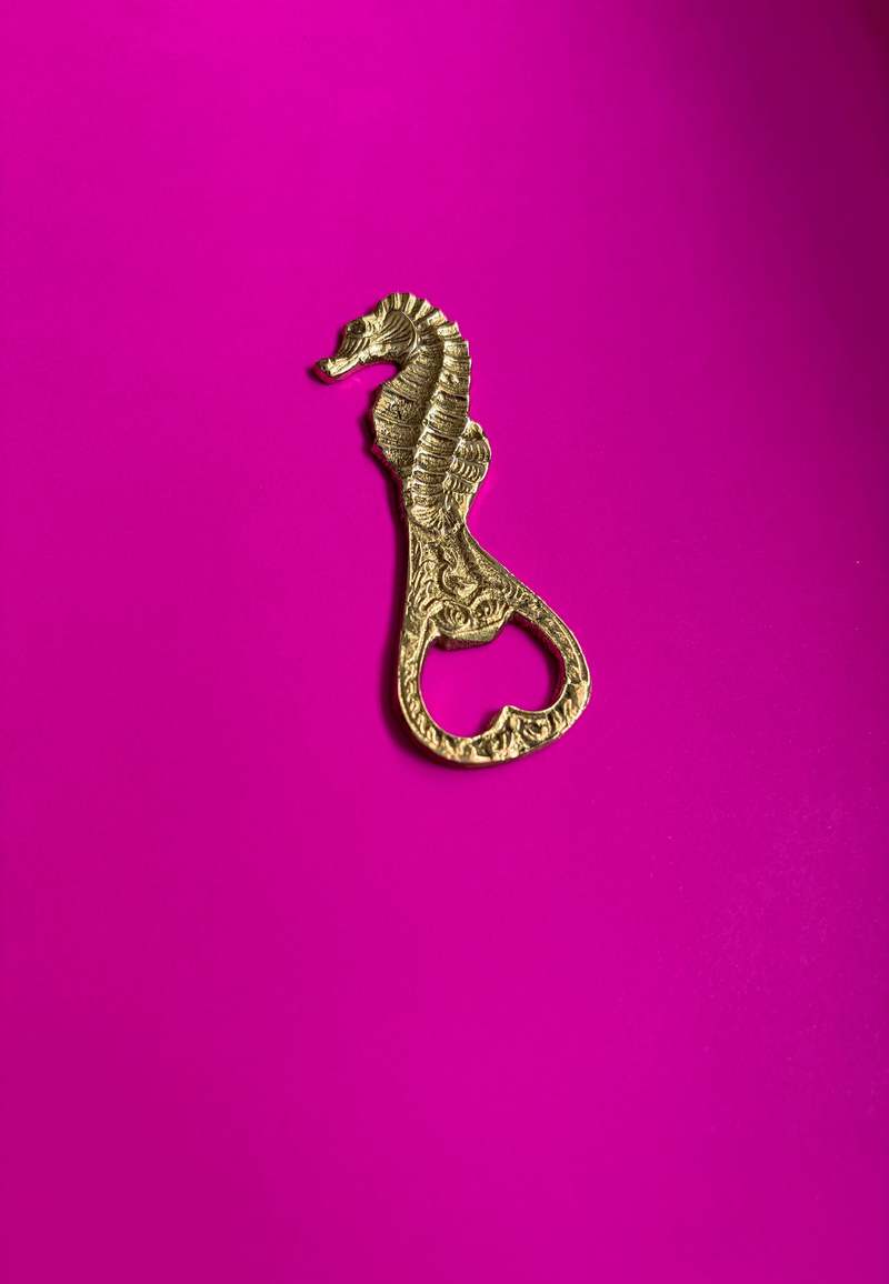 Dive Right In Bottle Opener