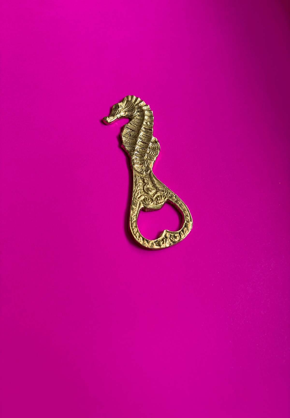 Dive Right In Bottle Opener - Image 4 of 5