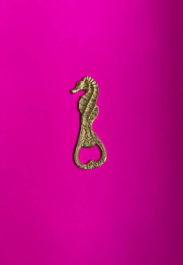 Dive Right In Bottle Opener