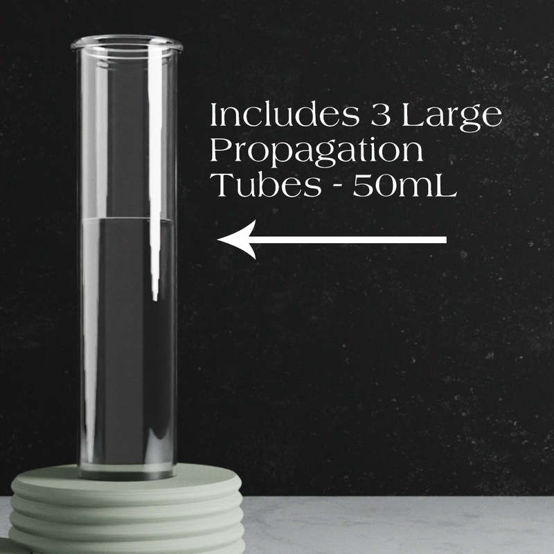 Modernized Pottery Triple Bubble Propagation Station