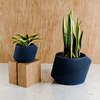 Modernized Pottery Urban Planter Planter - Thumbnail 11