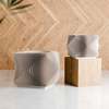 Modernized Pottery Xenova Planter - Thumbnail 7