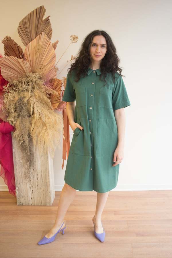 Birds of North America Ladyhawk Dress