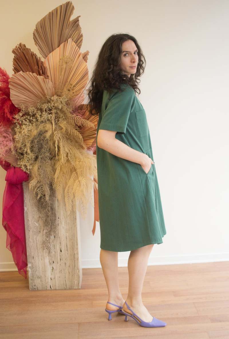 Birds of North America Ladyhawk Dress