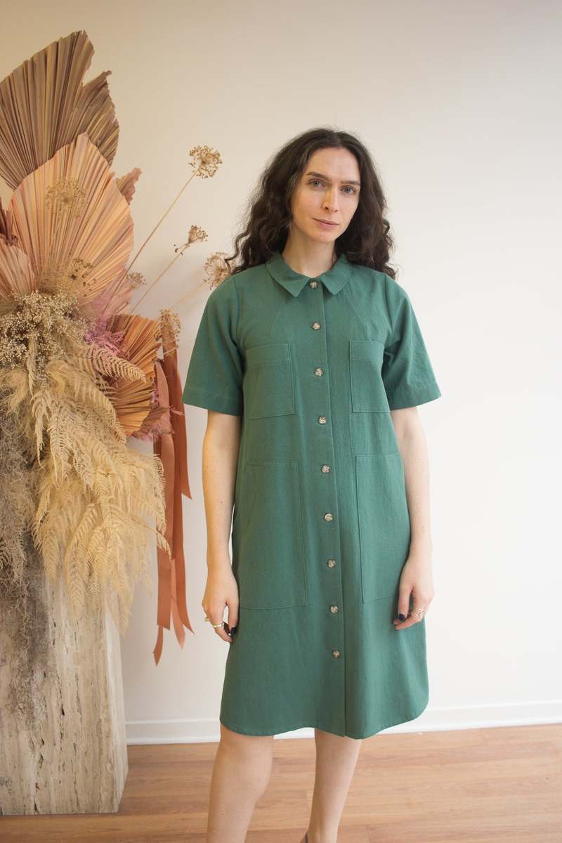 Birds of North America Ladyhawk Dress