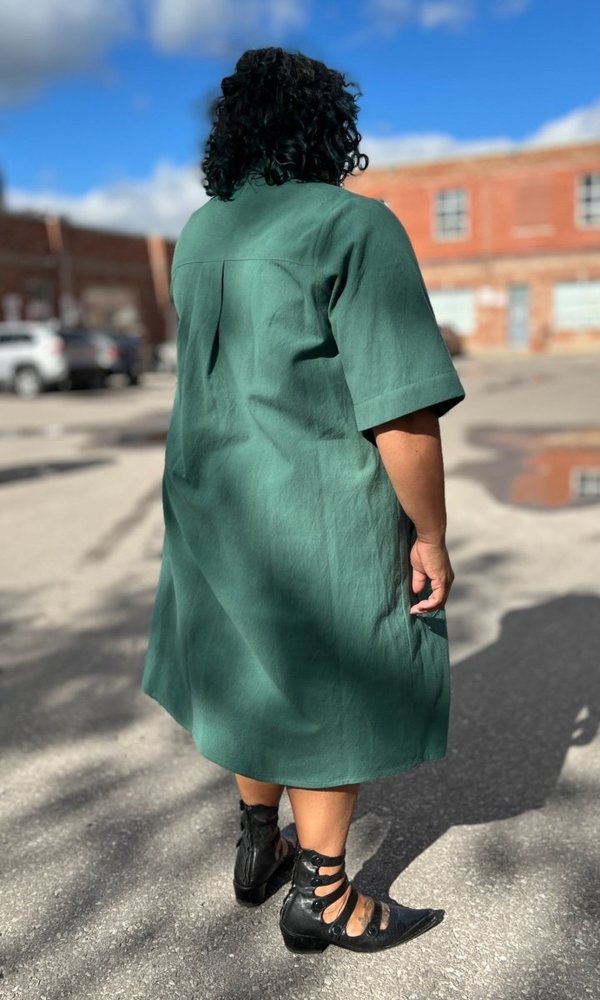 Birds of North America Ladyhawk Dress