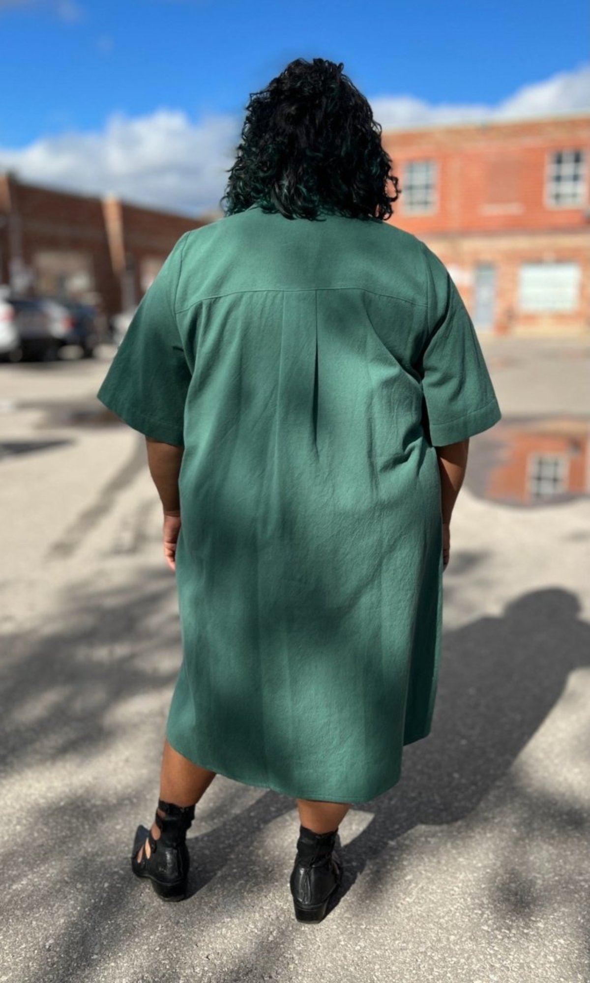 Birds of North America Ladyhawk Dress - Image 13 of 14