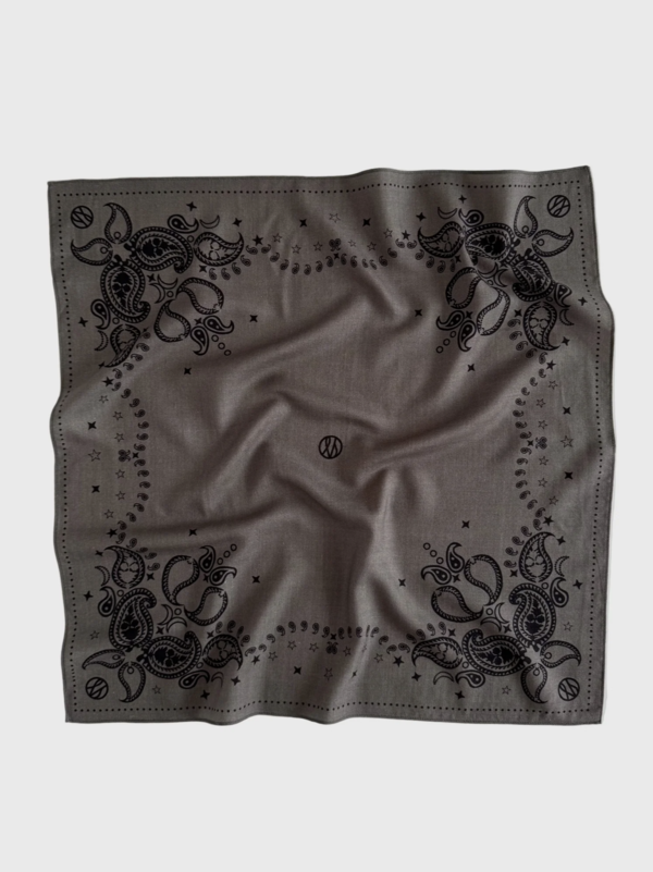 lescarf Wool Scarf Two Sided