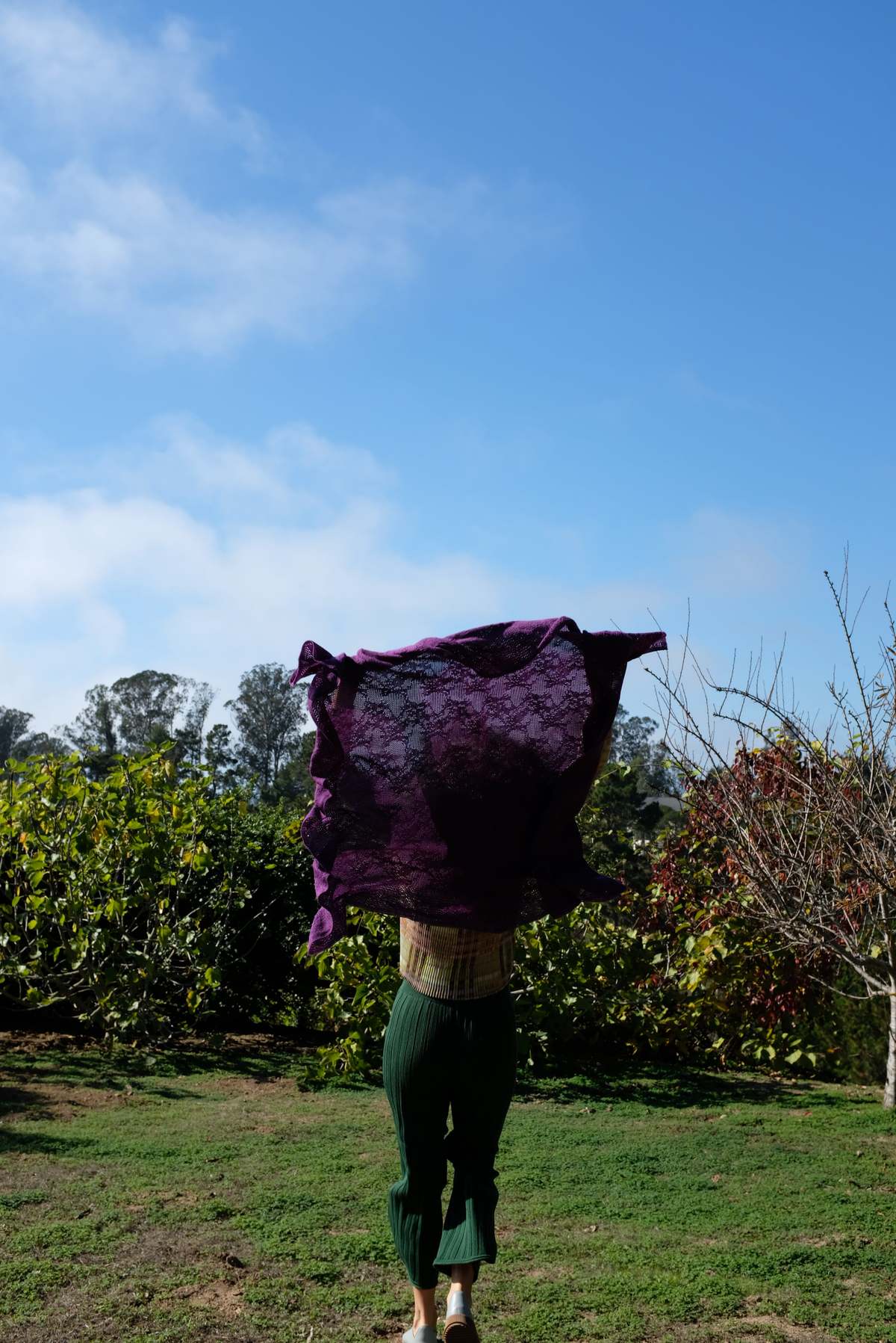 Beklina Merino Knit Lace Scarf - Image 2 of 11