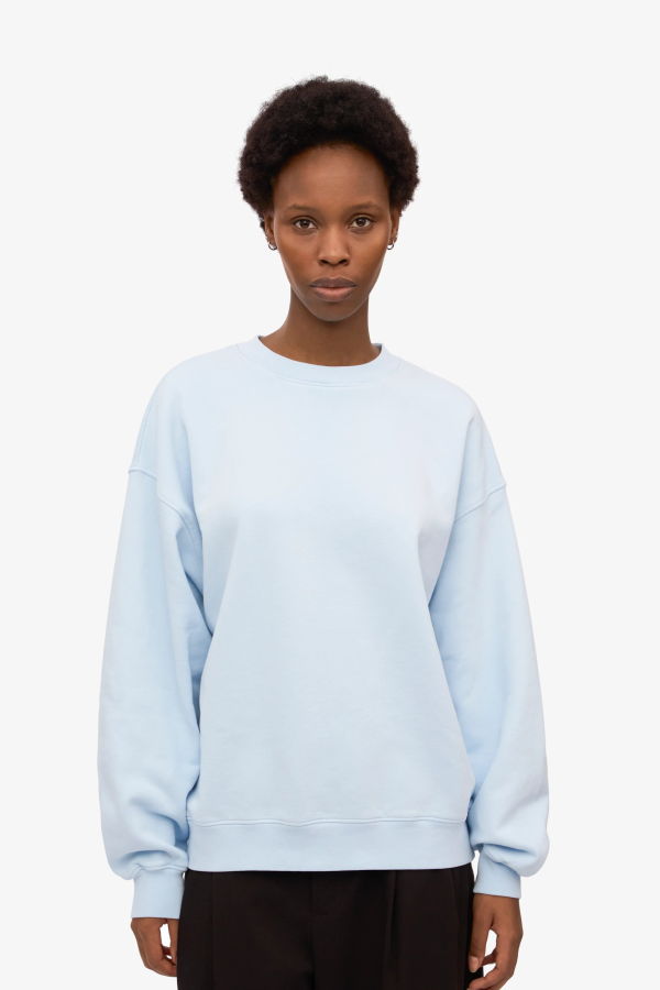 Colorful Standard Oversized Cotton Sweatshirt