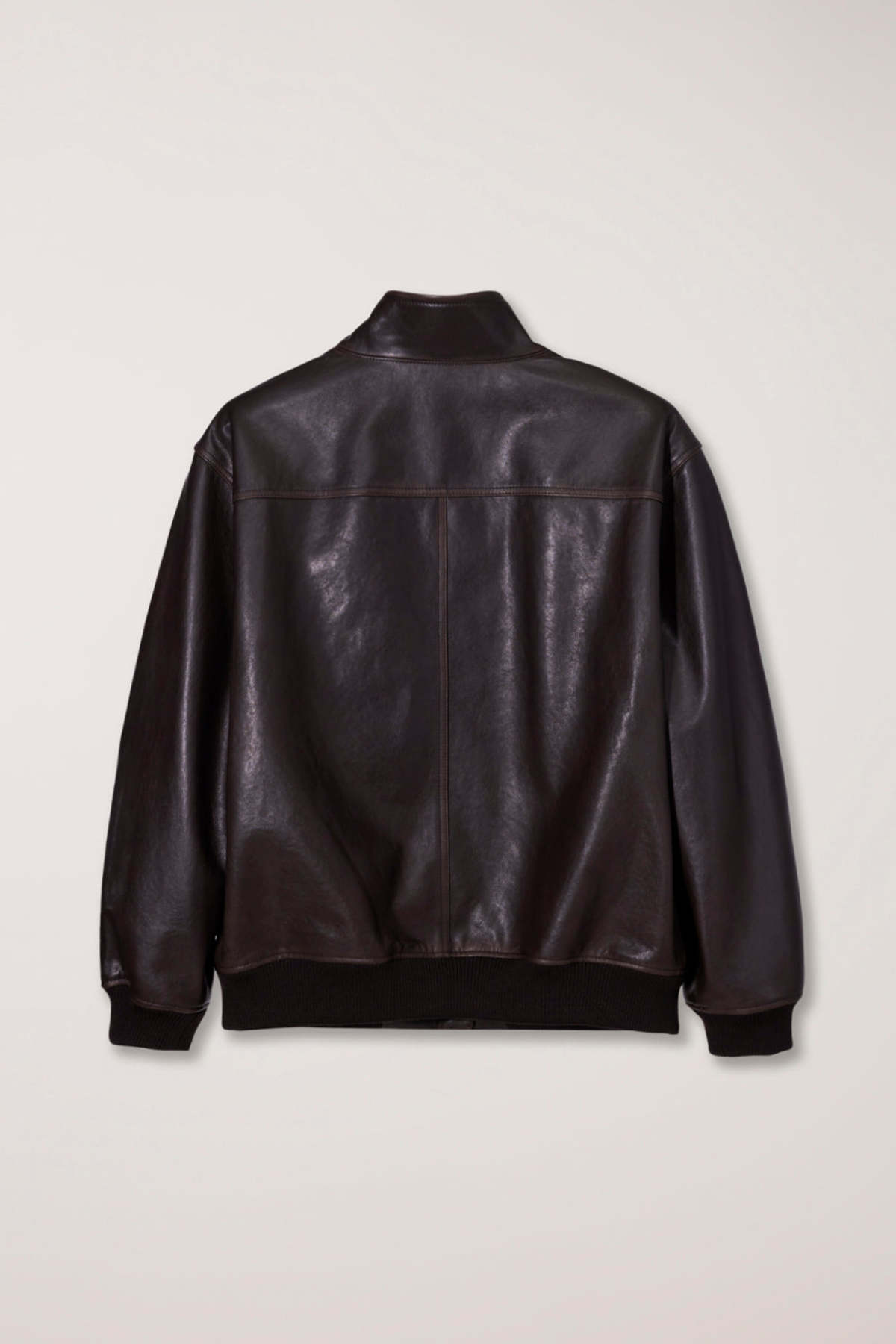 Dunst Stand Collared Leather Blouson Jacket - Dark Brown - Image 19 of 19