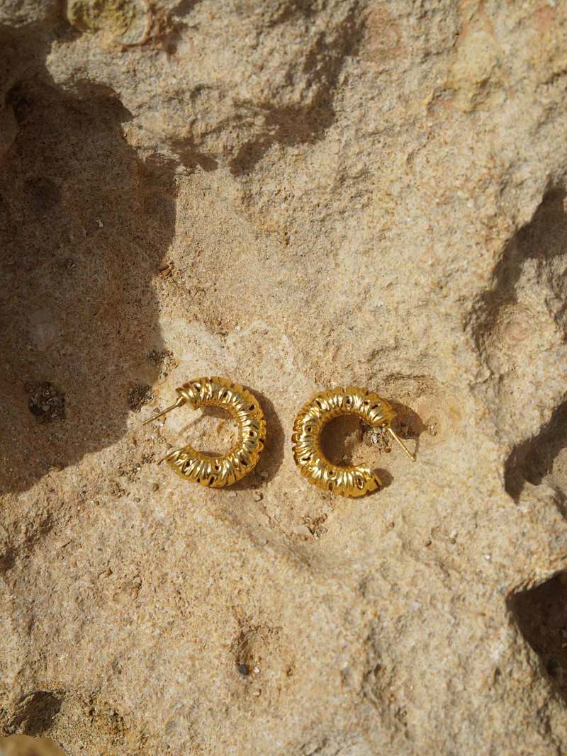 Shyla Cecili Hoops Earrings