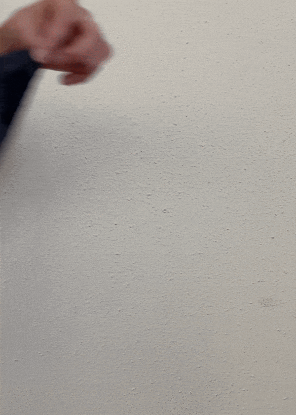 Ace & Jig Allie Top - Trinket