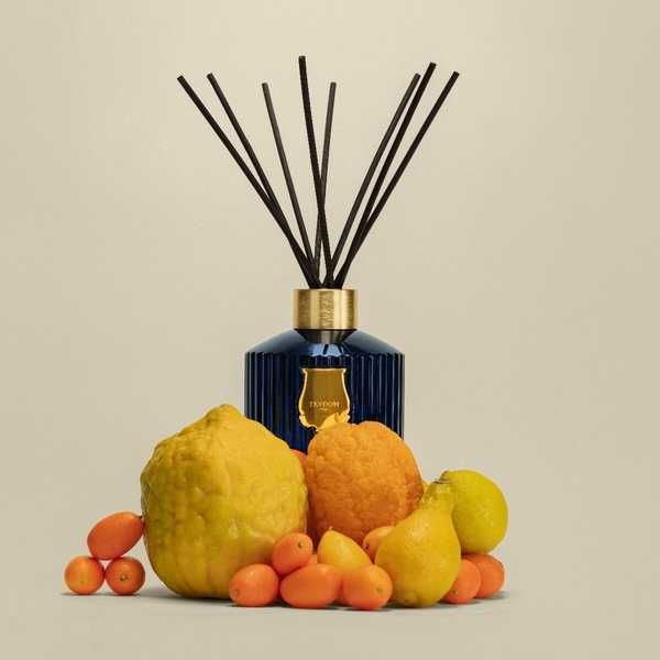 Trudon Belle Matiere Reggio Diffuser