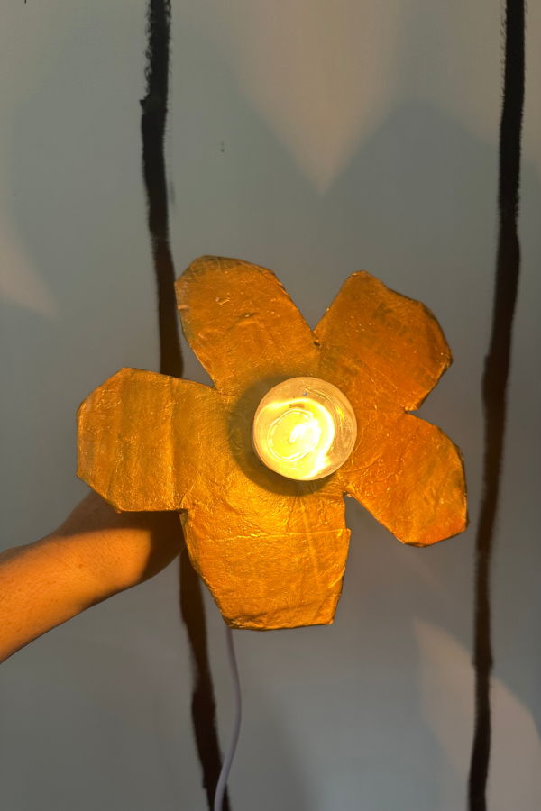 Audrey Louise Reynolds Aronomink Lamp