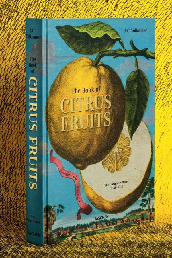 The Book of Citrus Fruits by J. C. Volkamer Book