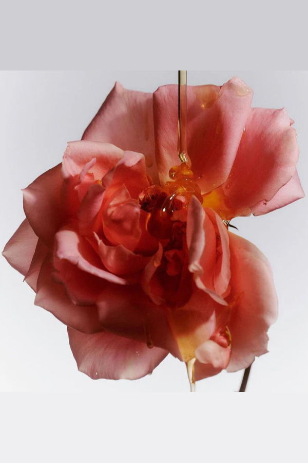 BLEU NOUR Eau de Parfum Perfume - Cendre et Or