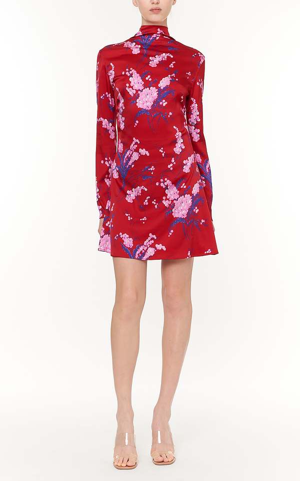 Des Phemmes Printed Mini Dress/ Scarf Rose