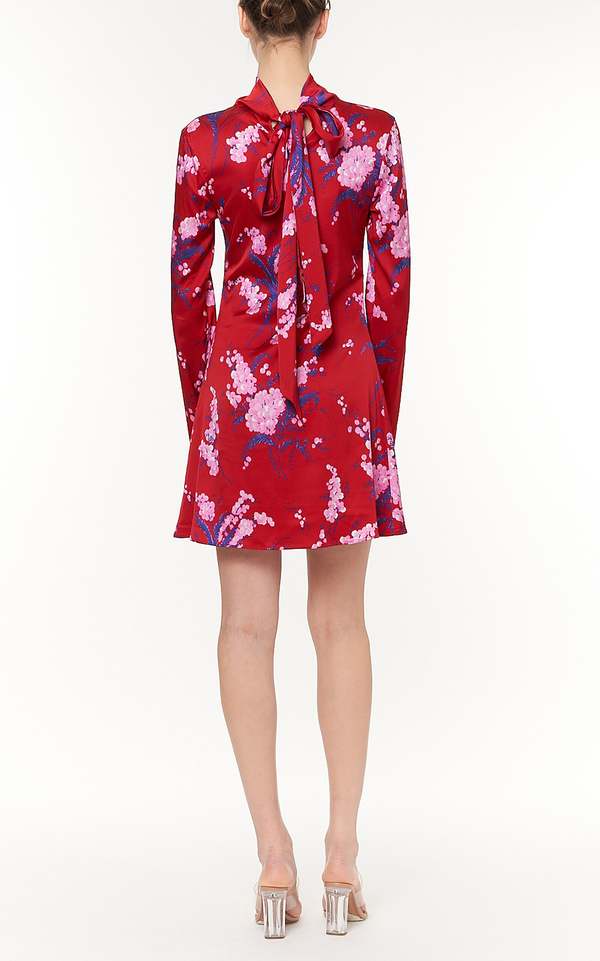 Des Phemmes Printed Mini Dress/ Scarf Rose
