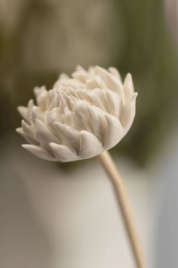 Kanju Interiors African Flower Diffuser Sticks