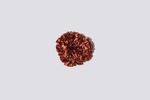 Maryam Nassir Zadeh Carnation Scrunchie - Friar Brown - Thumbnail 1