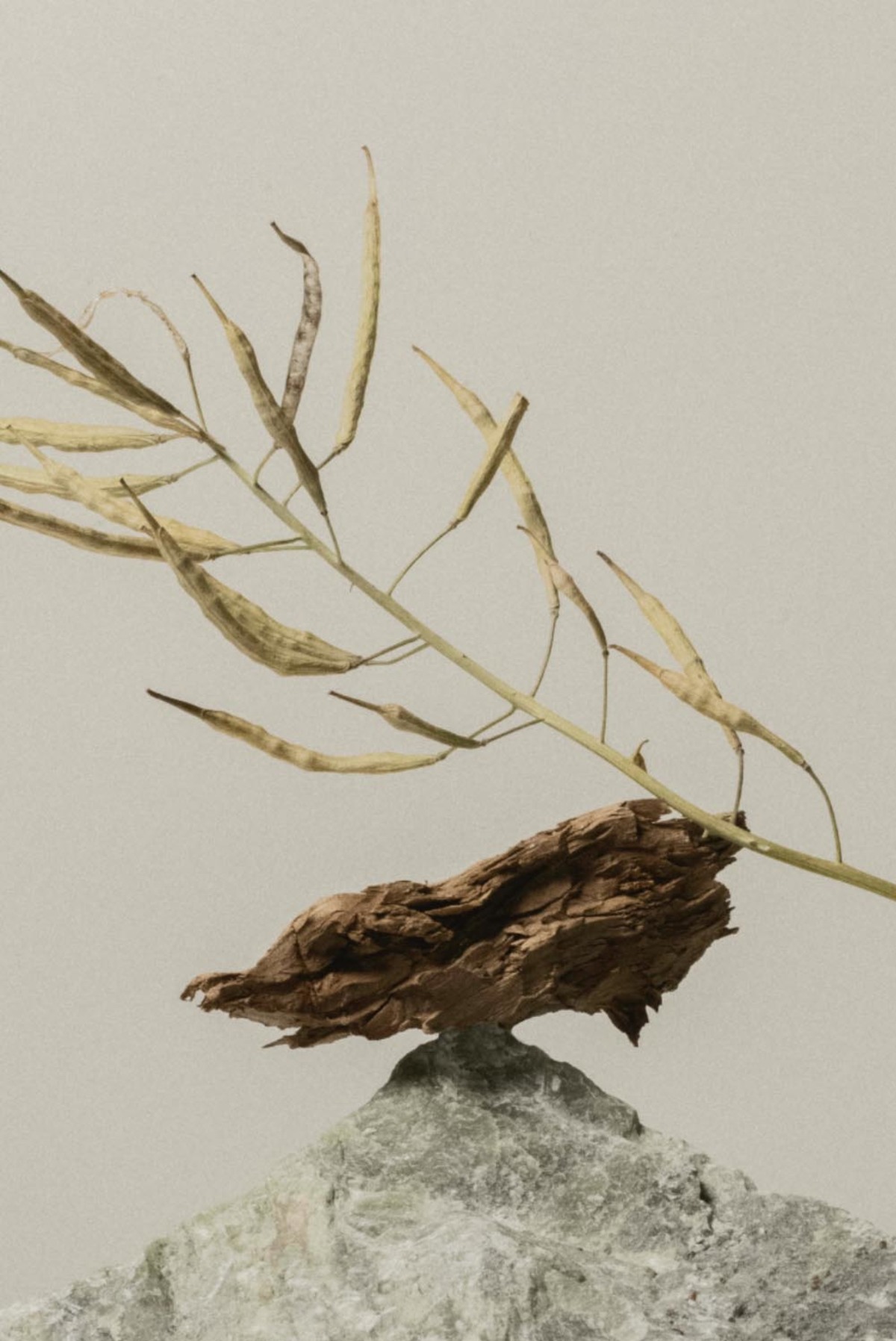 Hima Jomo Winter in Manaslu Eau de Parfum 50ml - Image 2 of 2