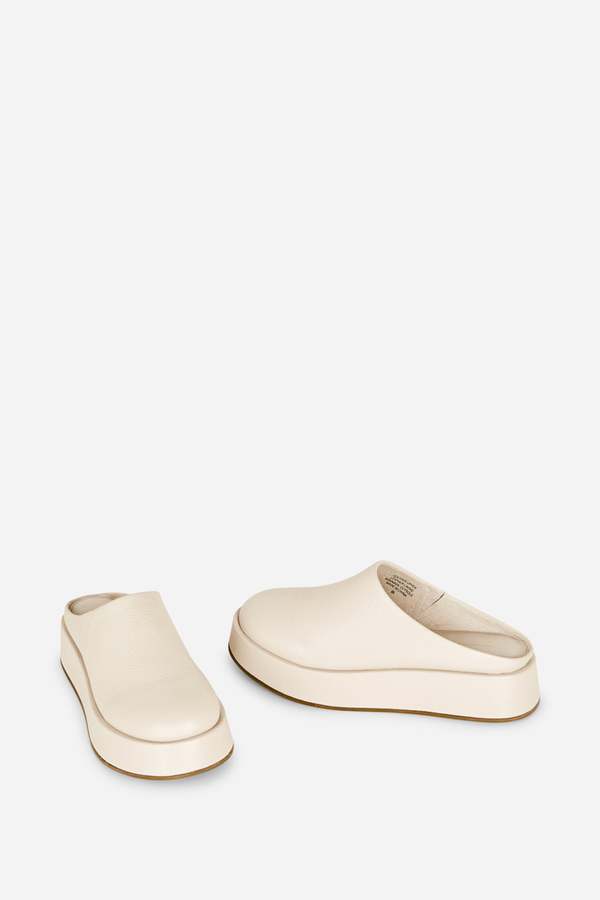 "INTENTIONALLY __________." Risen Platform Mule