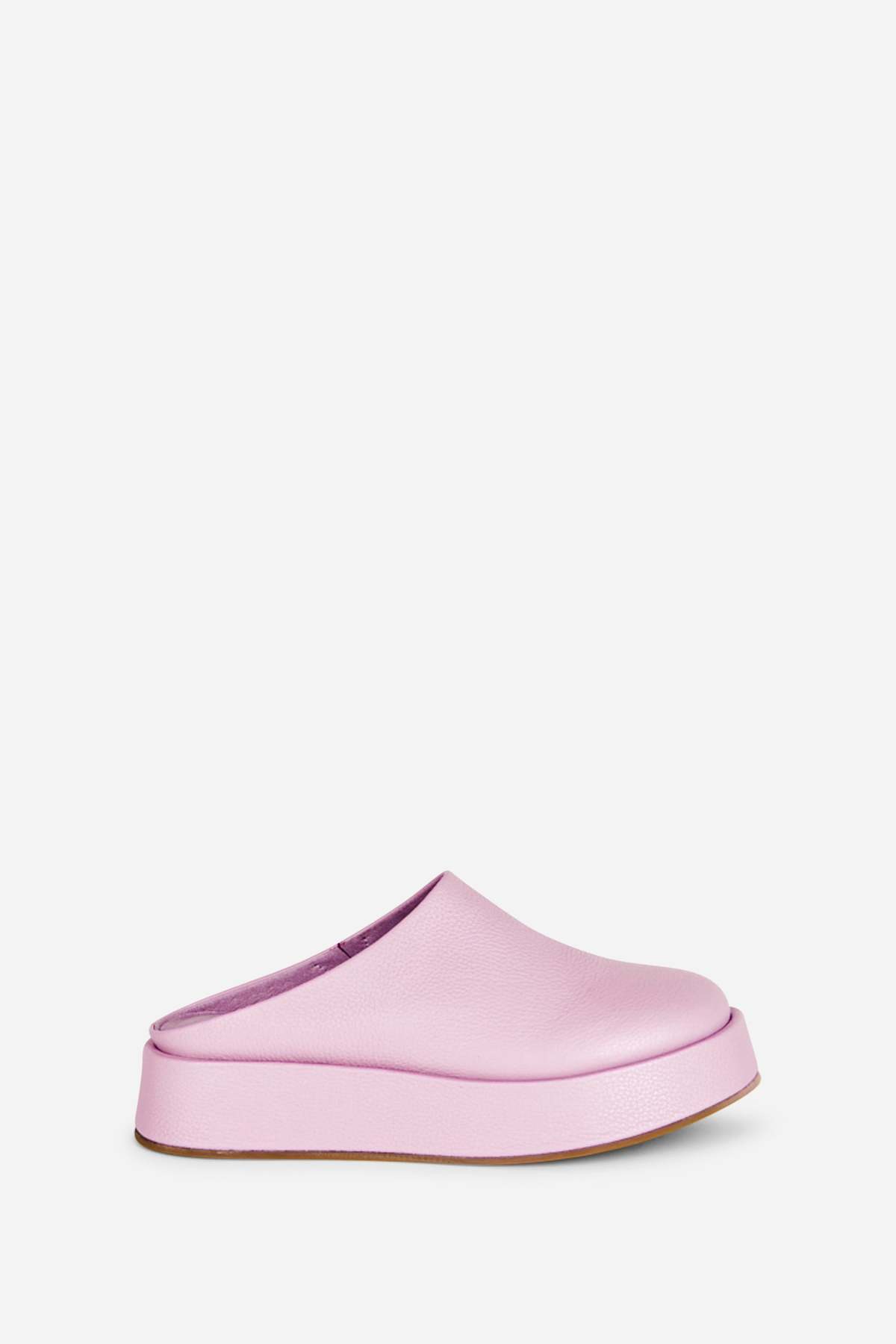 "INTENTIONALLY __________." Risen Platform Mule - Image 25 of 25