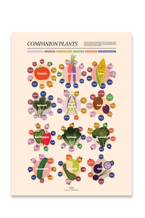 Fun Fact Co. Companion Plants Giclée Print